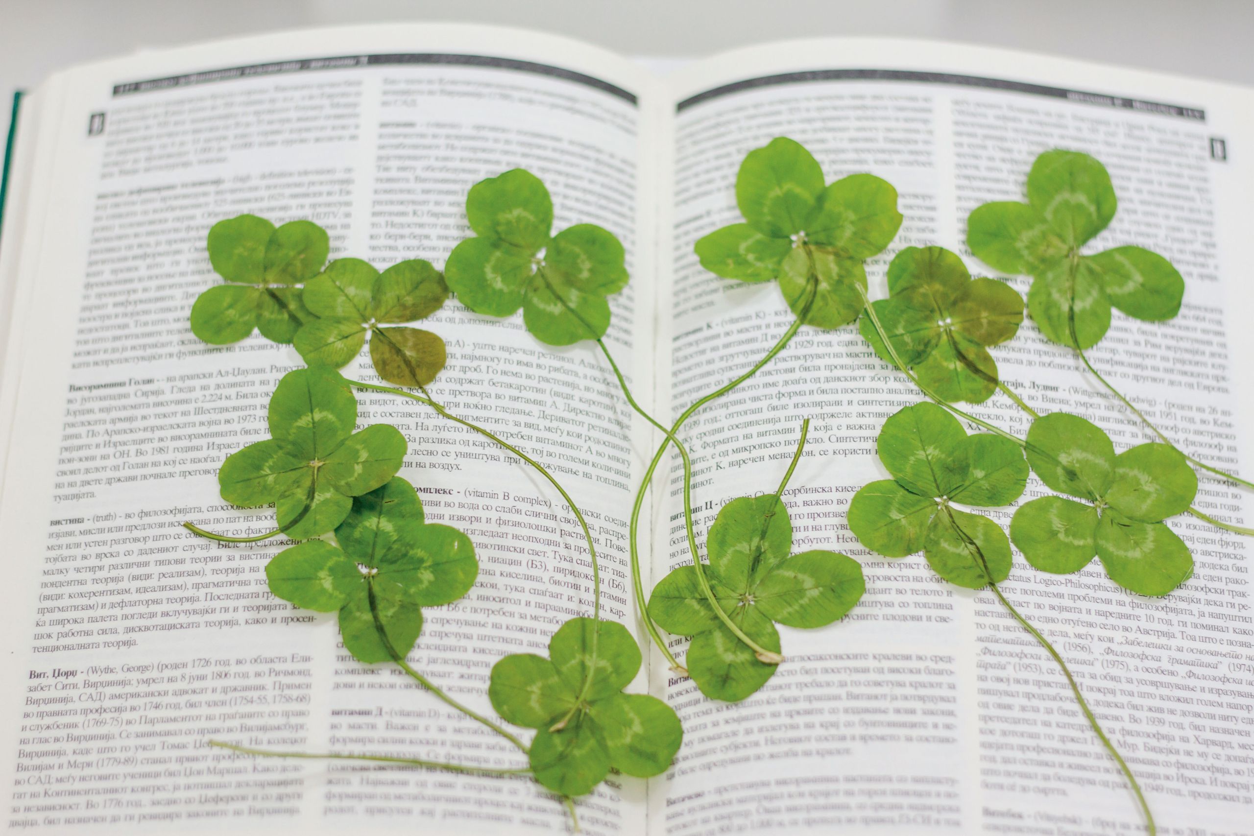 Maja-Kirovska-Luck-11ss