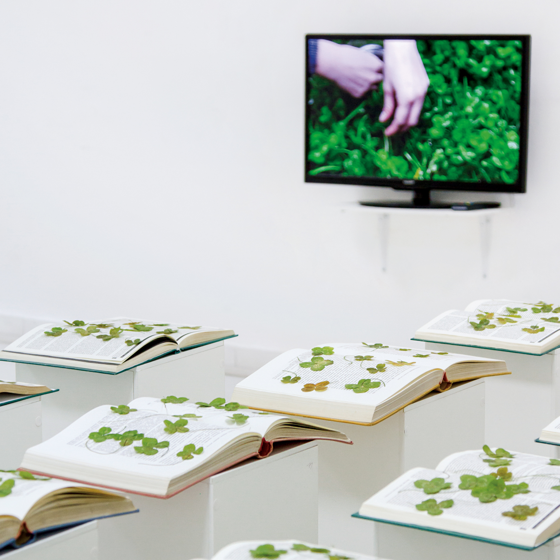 Maja-Kirovska-Luck-8