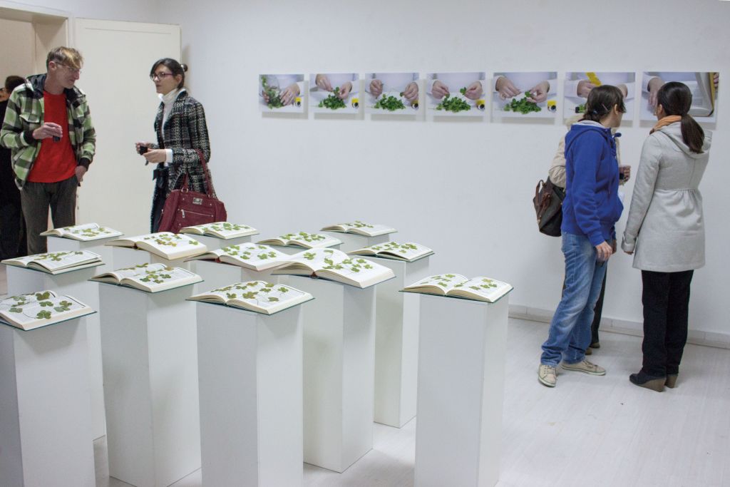 Чиста-соба,-самотојна-изложба-на-Маја-Кировска,-2014,-куратор-Виолета-Калиќ-(16)