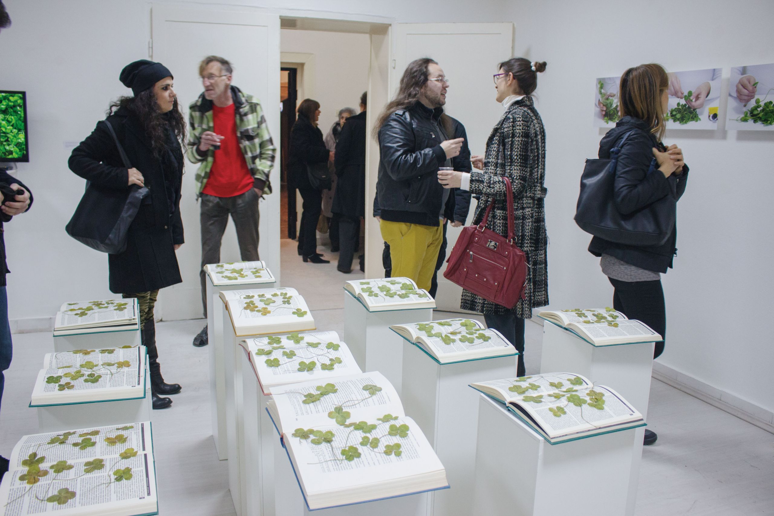 Чиста-соба,-самотојна-изложба-на-Маја-Кировска,-2014,-куратор-Виолета-Калиќ-(16)n