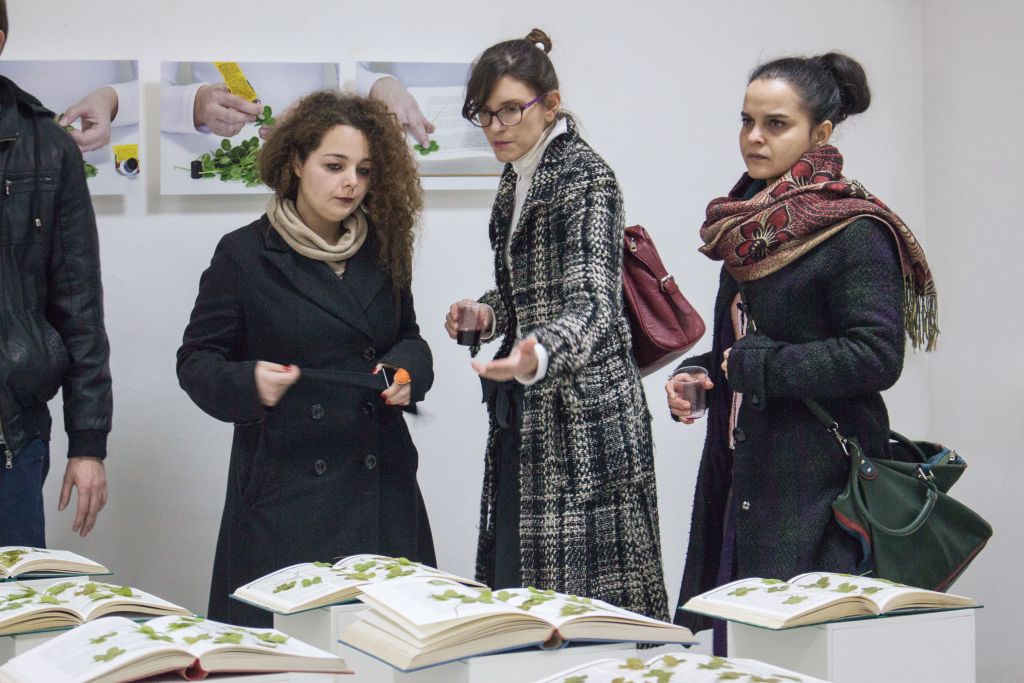 Чиста-соба,-самотојна-изложба-на-Маја-Кировска,-2014,-куратор-Виолета-Калиќ-(19)g