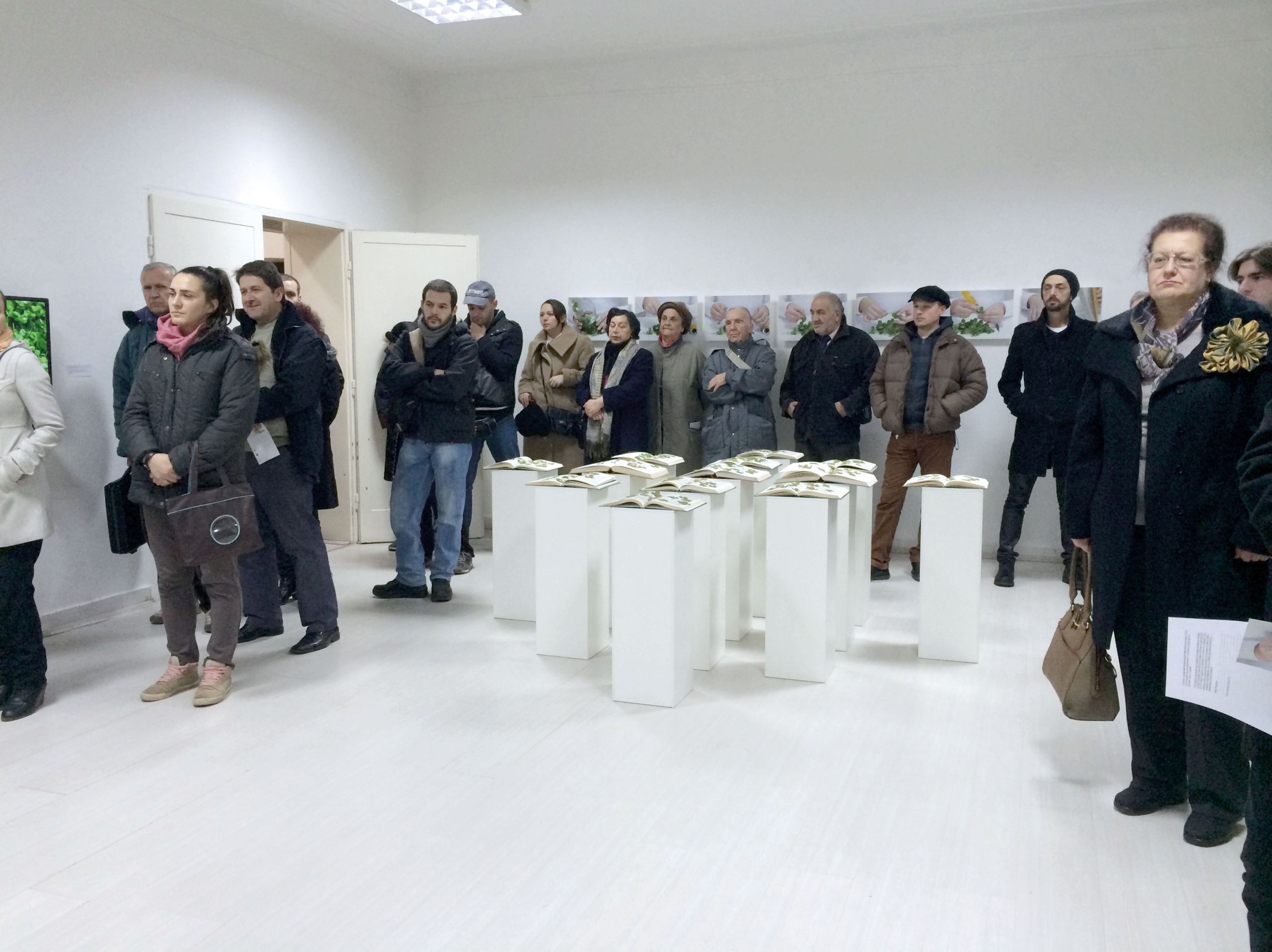 Чиста-соба,-самотојна-изложба-на-Маја-Кировска,-2014,-куратор-Виолета-Калиќ-(20)bb